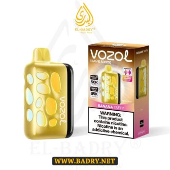 VOZOL RAVE 40000 PUFF